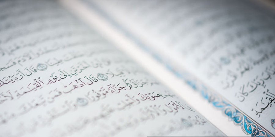 Verse by Verse <span>Full Qur'an</span>