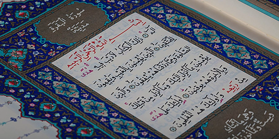 Qur'anic Language